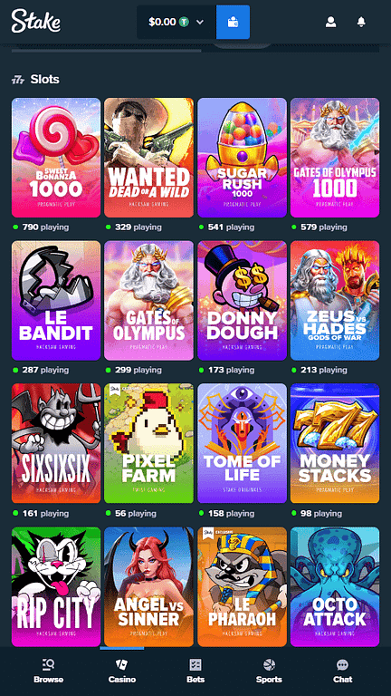 Stake Casino Slots Section