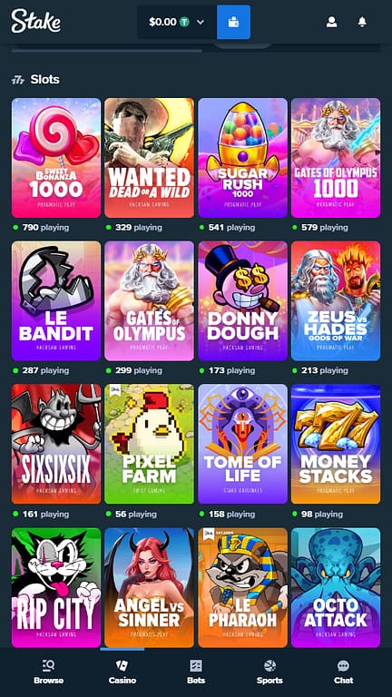 Stake Casino Slots Section