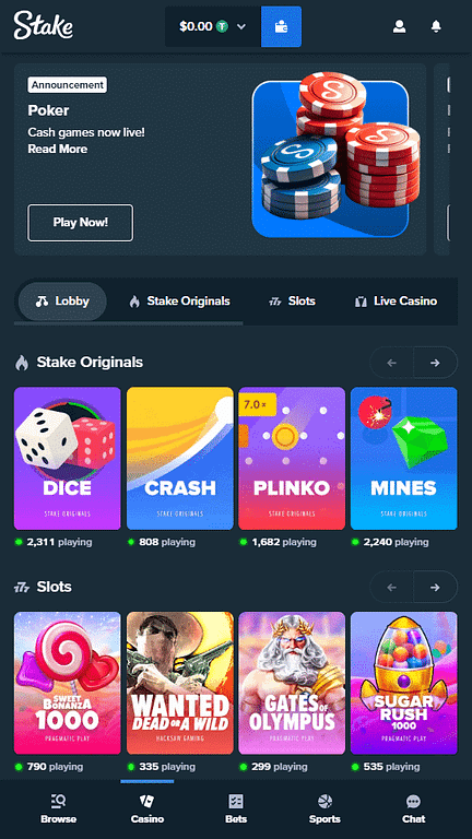 Stake Casino Home Page