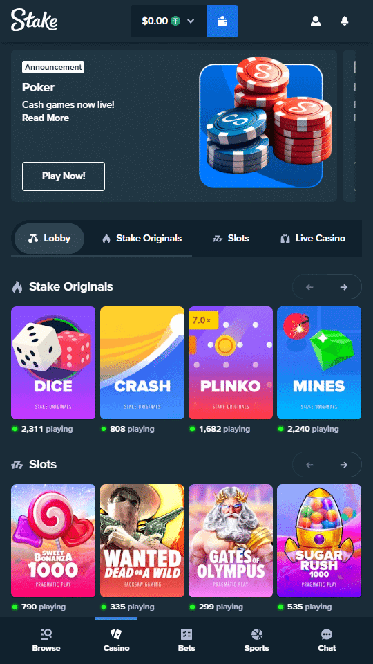 Stake Casino Home Page